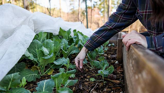 Here’s Why You Shouldn’t ‘Put Your Garden To Bed’ This Autumn