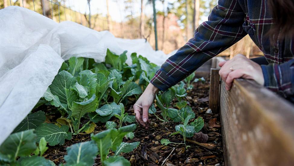 Here’s Why You Shouldn’t ‘Put Your Garden To Bed’ This Autumn