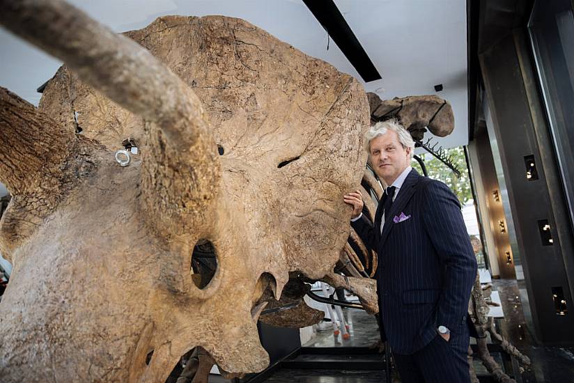 World’s Biggest Triceratops Skeleton Sells For £5.5M In Paris