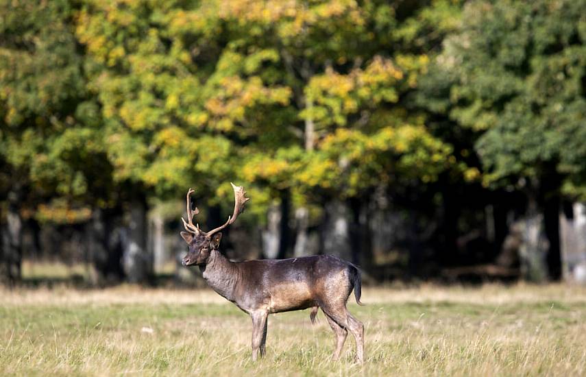 Magazine Fort In Dublin's Phoenix Park To Become Visitor Attraction