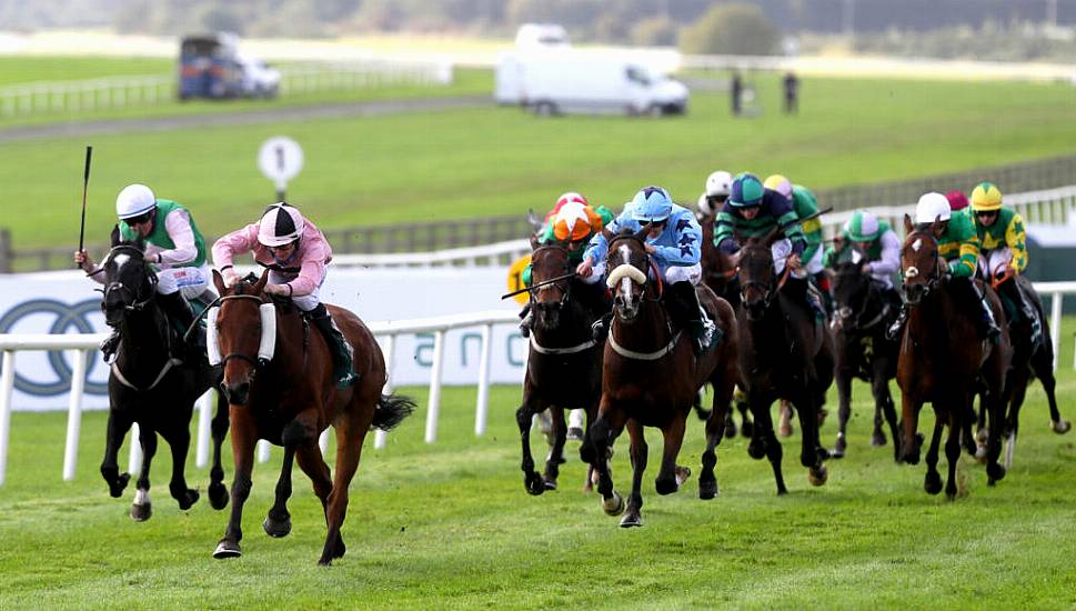 No Evidence Doping Rules In Irish Horse Racing Lower Than International Standards