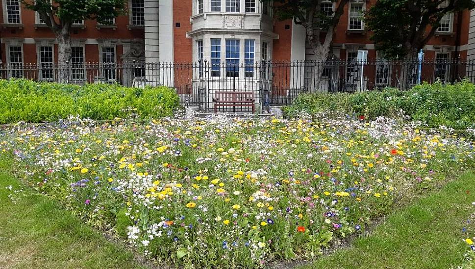 Green Flag Awarded To 11 Parks In Dublin City