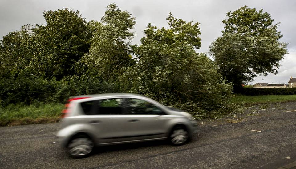 Man Dies After Car Hit By Falling Tree