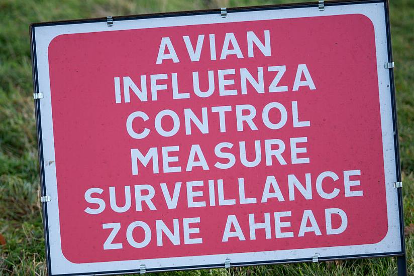 Avian Flu Surveillance Zones In North To Be Lifted