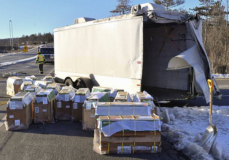 Escaped Lab Monkeys Found After Us Lorry Crash