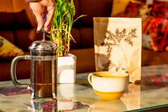 Could Leftover Coffee, Tea And Other Drinks Feed Your Plants?