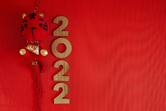 Chinese New Year: What Is The Significance Of The Year Of The Tiger, And What Does It Mean For You?