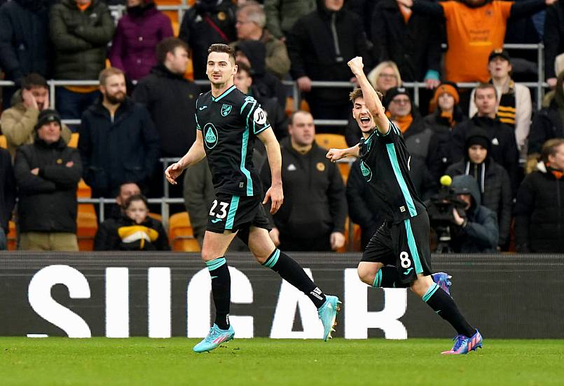 Kenny Mclean Header Enough As Norwich Edge Wolves To Reach Fa Cup Fifth Round