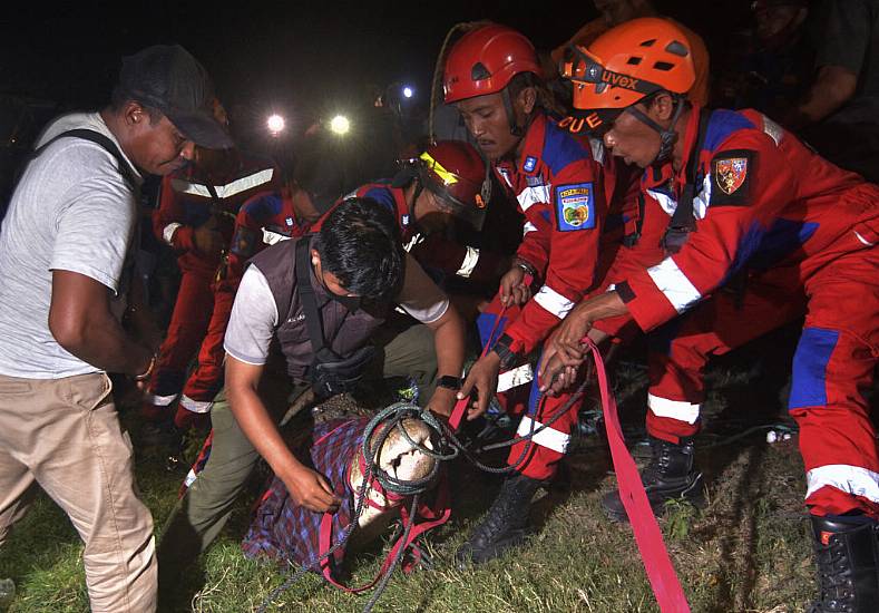 Crocodile Freed From Tyre Stuck On Its Neck For Six Years