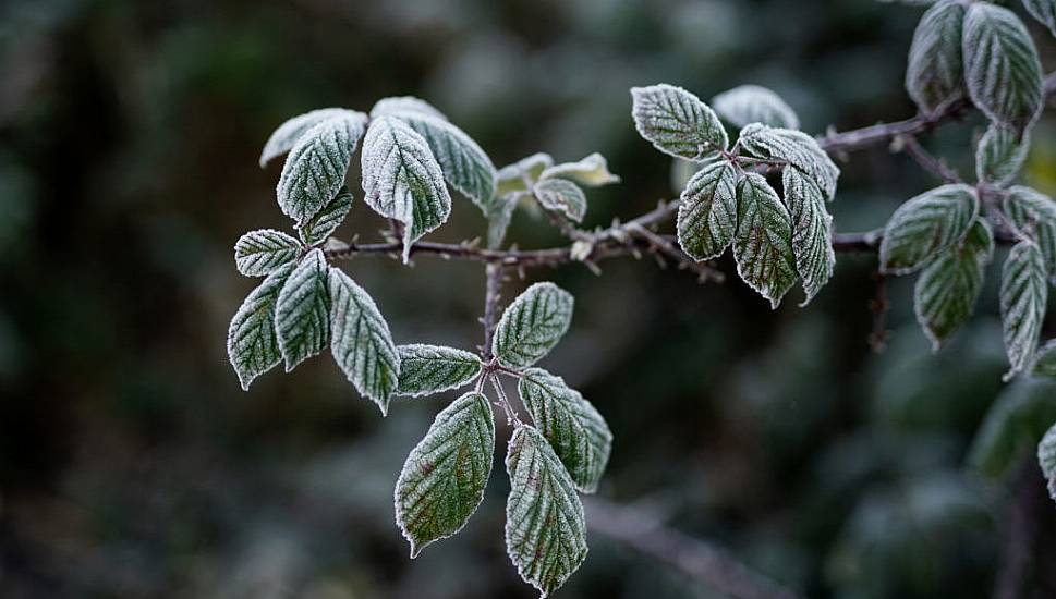 Temperatures To Drop To -4 Degrees Overnight