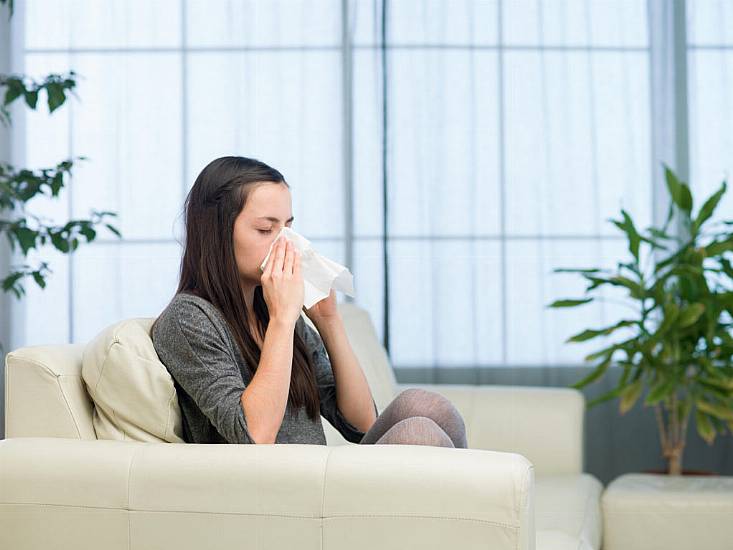 Are You Allergic To Your House? Five Ways To Reduce Allergens In Your Home