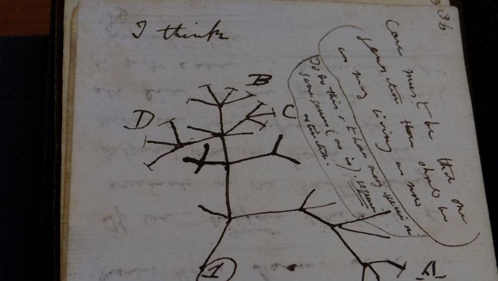 ‘Stolen’ Darwin Manuscripts Anonymously Returned To University Library