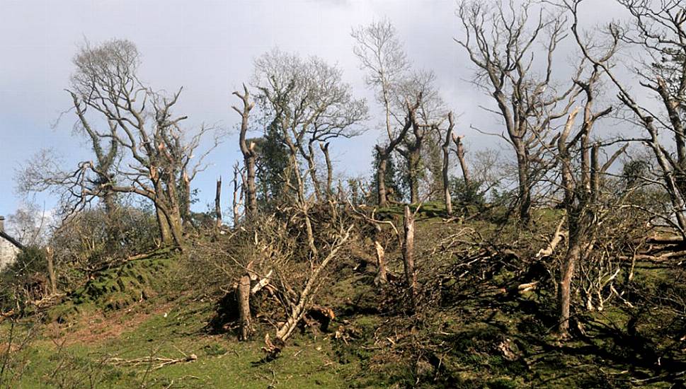 Owner ‘In Shock’ After Tornado Batters Welsh Farm