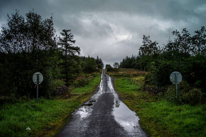 Kilkenny Man Fined €2,000 For Removing Hedgerow