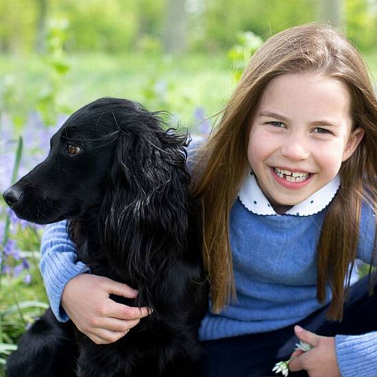 Picture Released Of Princess Charlotte And Pet Dog Orla To Mark Seventh Birthday