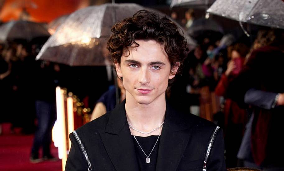 Timothee Chalamet’s Old Vic Debut Cancelled After Pandemic Delays