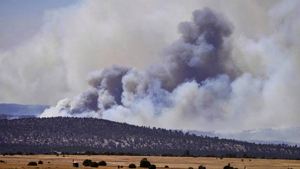 Joe Biden Declares Disaster In New Mexico Wildfire Zone