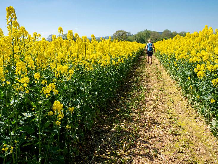 Five Ways To Treat Hay Fever Without Medication