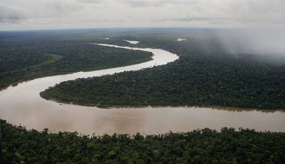 Pair’s Disappearance In Brazil’s Amazon Tied To ‘Fish Mafia’