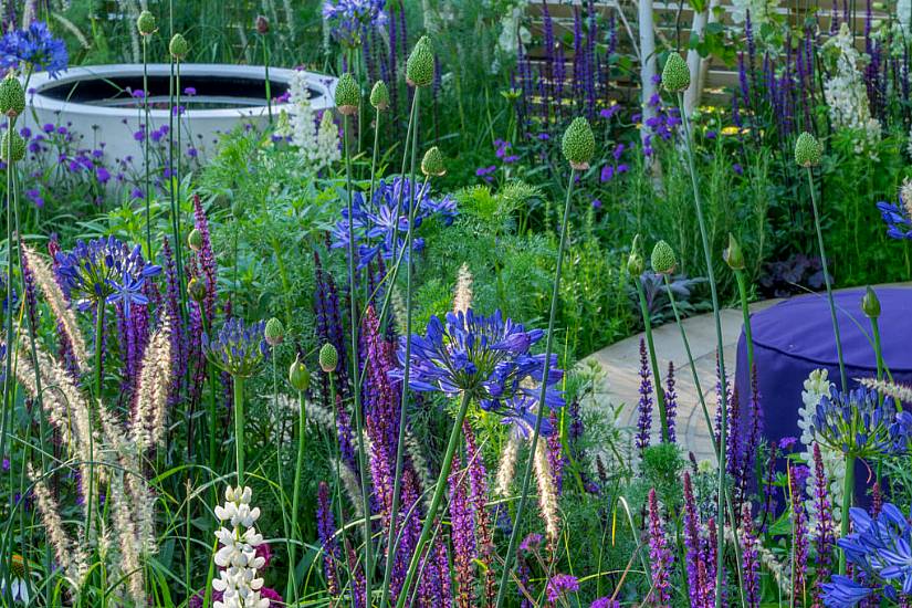 Which Flowers Last The Longest In Summer Gardens?