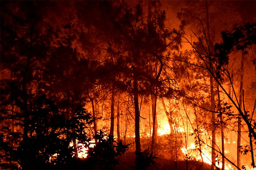 Almost 1,000 Firefighters Battle Massive Fire In South-East France