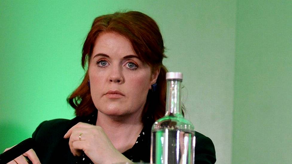 Suspended Green Td Undecided Over Government No Confidence Vote