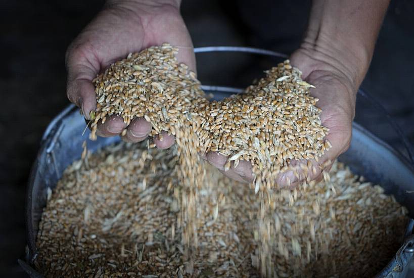 Russian And Ukrainian Militaries Set To Discuss Grain Exports