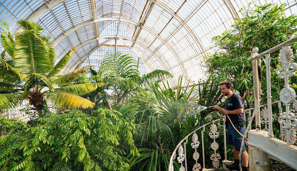 Tropical Greenhouse In London's Kew Gardens Cooler Than Outside