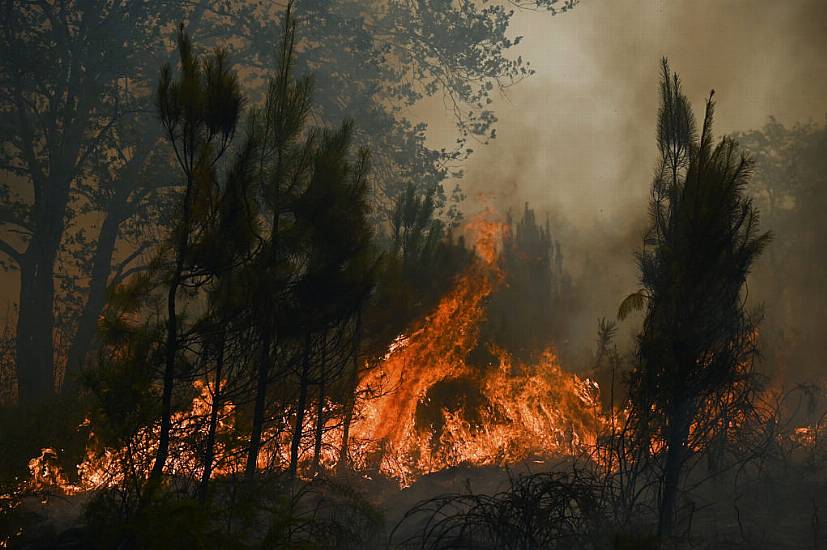 Man Held As Police Probe Raging Wildfires In France