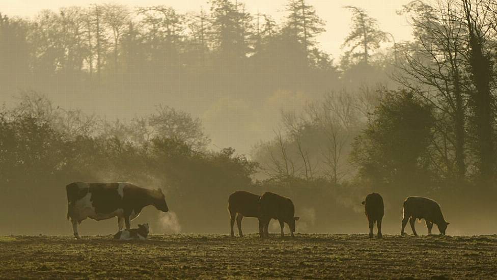 Climate Experts Raise Concerns About Emissions Cuts Falling Short Of 51% Target