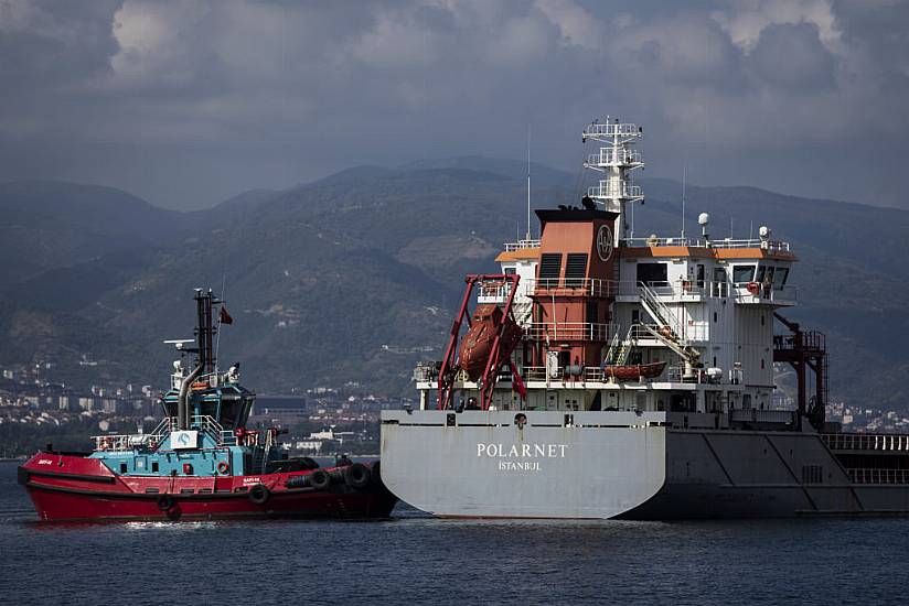 Ship Carrying Grain From Ukraine Arrives In Istanbul