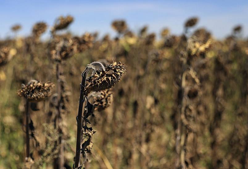 France Faces Worst Drought On Record As Fourth Heatwave Of The Year Spreads