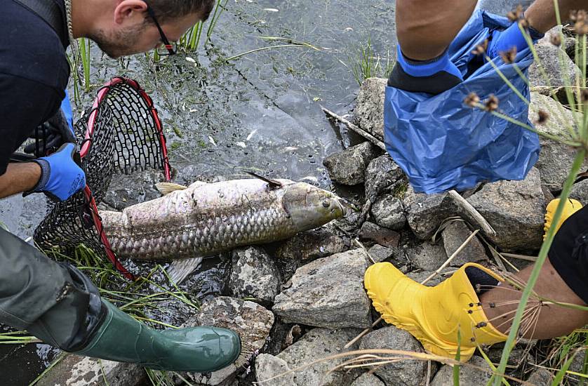 High Salinity Found In European River After Mass Fish Die-Off