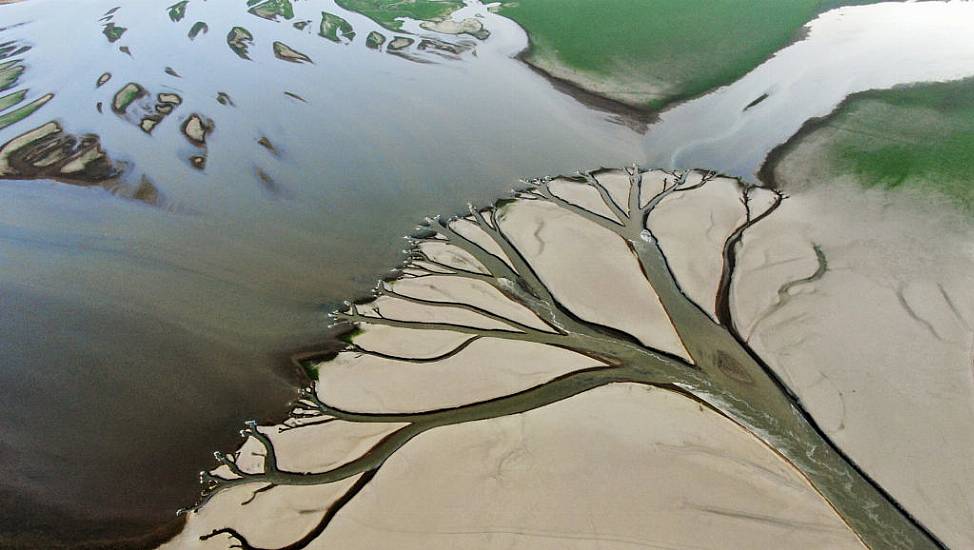 Chinese Workers Dig Deep To Keep Crops Watered After Drought Hits Largest Lake