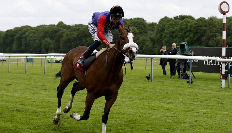 Queen Elizabeth’s Horse King’s Lynn Will Not Run At The Curragh