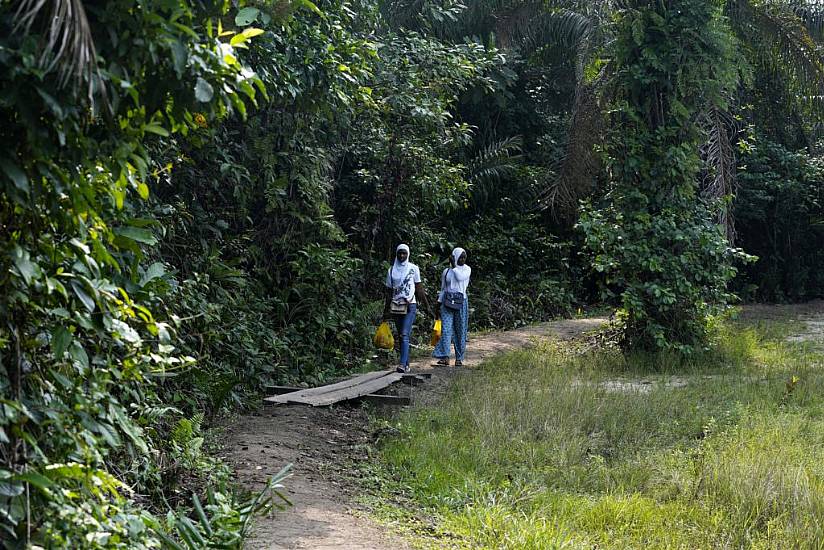 Africa Looks To Grow Its Carbon Market With Forest Schemes