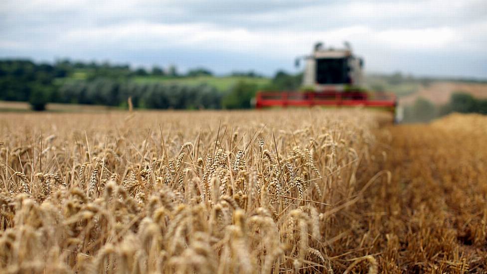 Irish Farmer Injured In New Zealand Farm Incident Awarded €3.4M