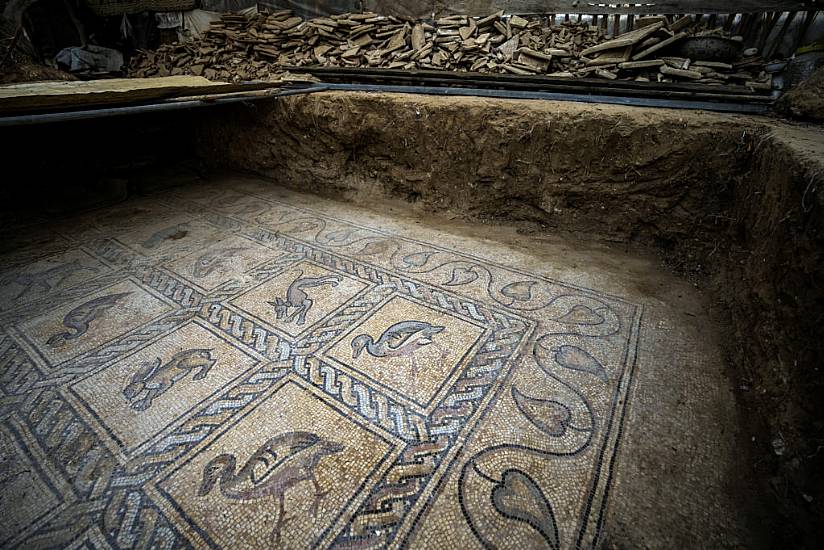 Palestinian Farmer Discovers Rare Ancient Treasure In Gaza