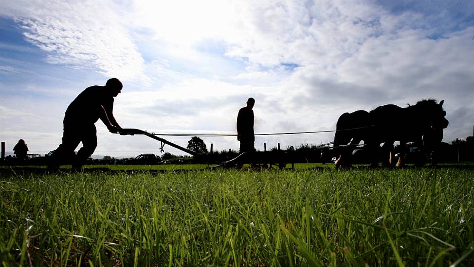 First Day Of Ploughing Championships Draws Crowd Of 91,500 People