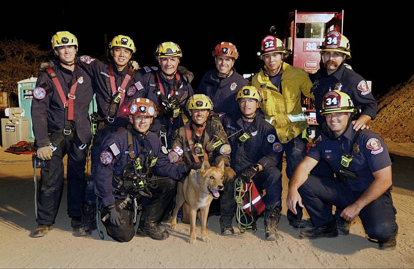 Blind Dog Rescued From Hole At California Construction Site