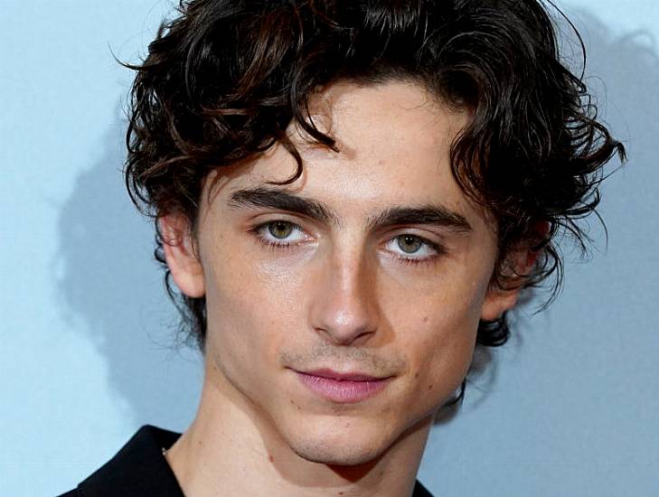 Timothee Chalamet Drenched In Blood In Trailer For New Cannibal Film