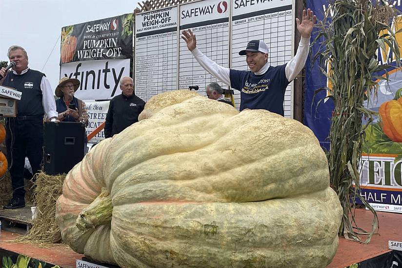 Giant Pumpkin Wins California Contest And Sets Us Record