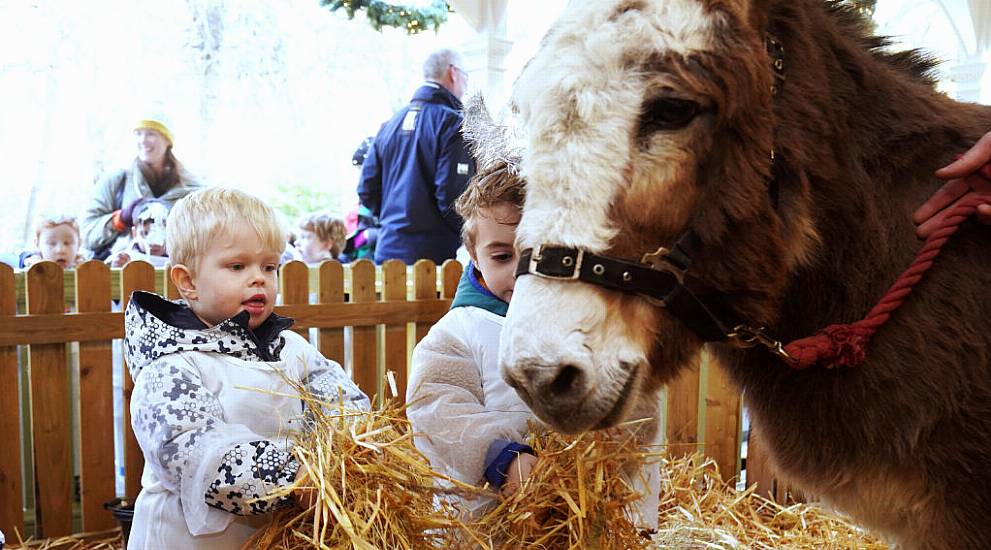 Live Animal Crib Opens In Dublin’s Stephen’s Green Park