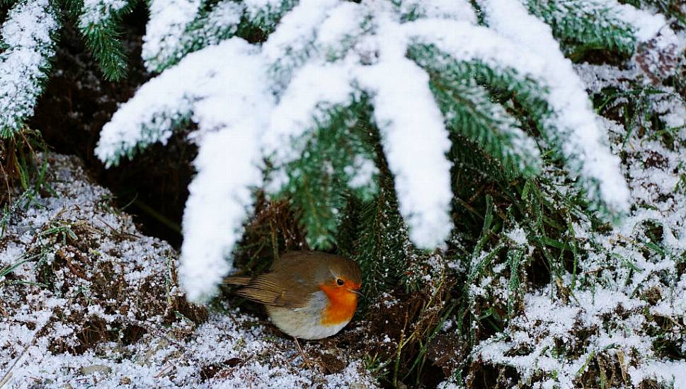 Weekend Temperatures Will Struggle To Get Past Freezing, Says Met Éireann