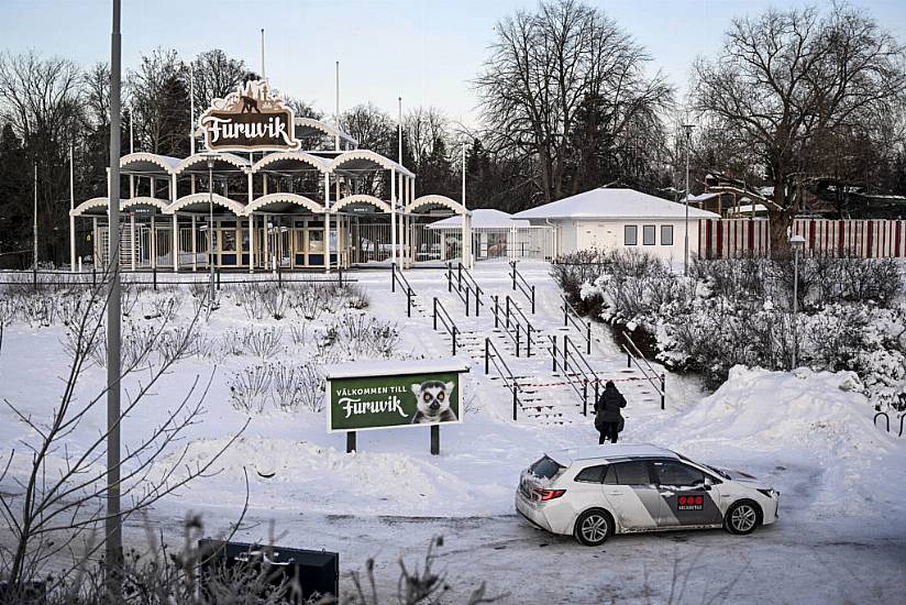 Escaped Chimpanzees Recaptured In Sweden As Four Shot Dead