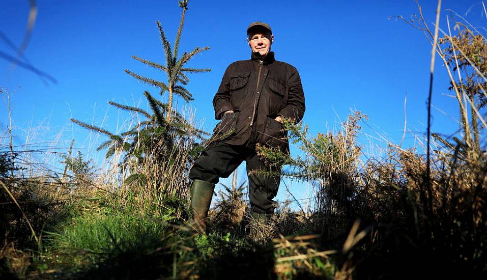 Pensioner Hailed As Eco-Champion After Planting 20,000 Trees On Disused Land