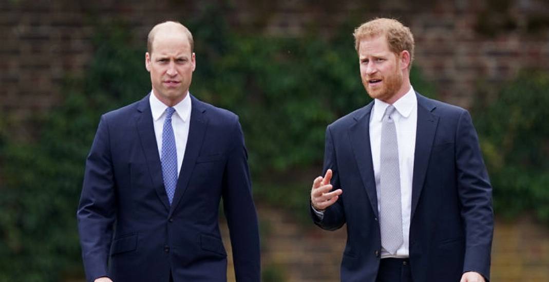 Harry Left With ‘Bruises’ After William’s Alleged Assault: How To Deal With Severe Sibling Conflict