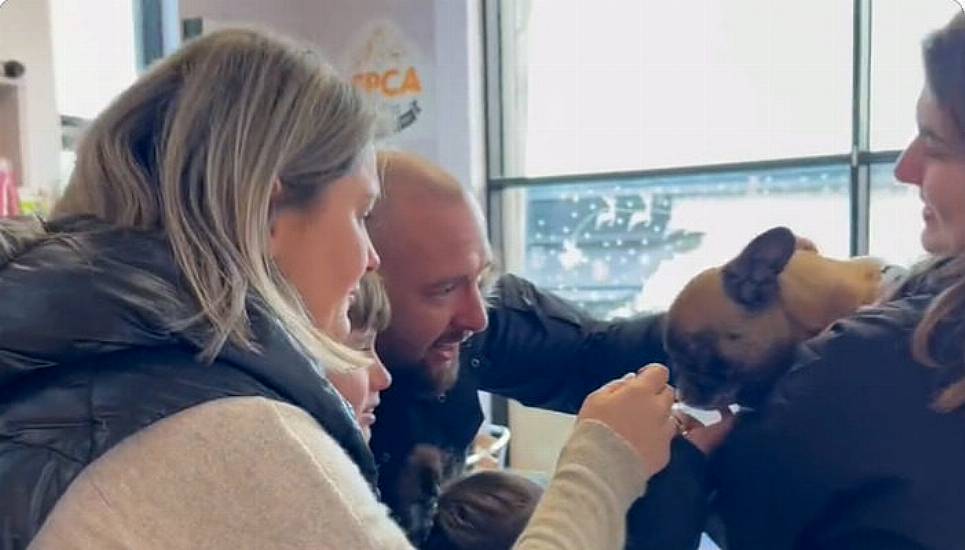 Lost Dog Reunited With Galway Family After Two Years