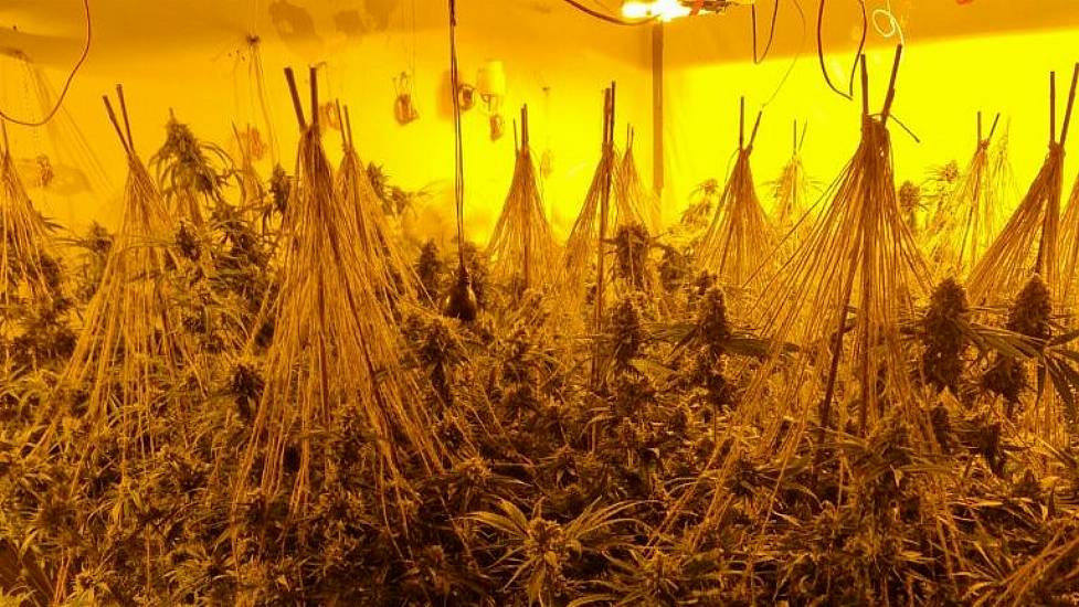 Man Charged Over €1.36M Worth Of Cannabis Found In Orange Shipment