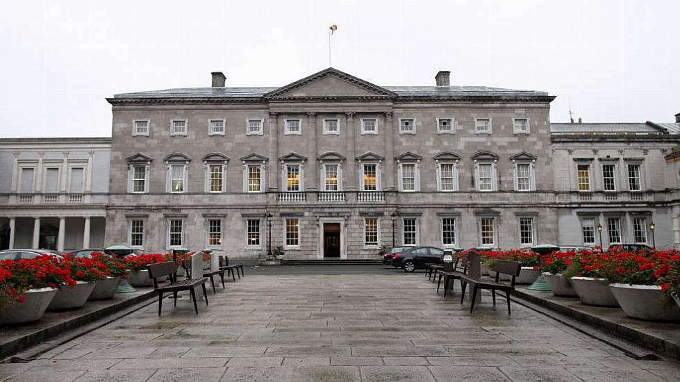 Extinction Rebellion Activists Avoid Jail After Locking Themselves To Gates Of Leinster House